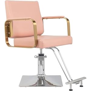 Salon Chair Styling Barber Chair Height Adjustable & 360° Swivel, Beauty Salon Spa Equipment with Heavy Duty Hydraulic Pump, Barber Shop Hair Stylist, Max Load 330 lbs (Pink)