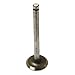 891049M1 New Tractor Engine Intake Valve Fits Massey Ferguson TEF20 20C 101661