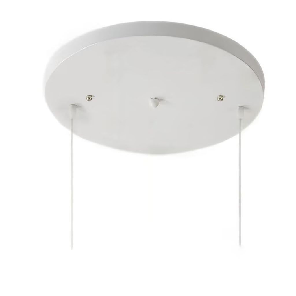 DESHOME 20cm Round Ceiling Rose Cover White 2 Hole Metal Chassis Pendant Light Fitting Kit, Ceiling Canopy Cover Plate with Accessories(Wire not Included), for Ceiling Lights, Hanging Fixture
