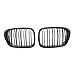 GAGU Auto ABS Doppia Linea Compatibile Nero Lucido Cappuccio Rene Griglia per BMW E39 Serie 5 525i 528i 1995-2004 Paraurti Anteriore Griglia