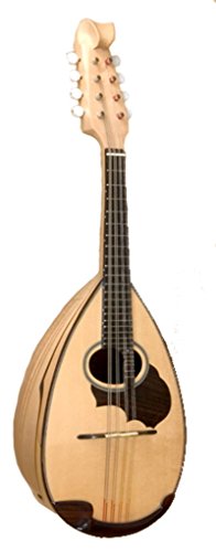 SUZUKI/スズキ マンドリン M-100 後期型 Amazon.co.jp: Suzuki Mandolin M-30 : Musical Instruments