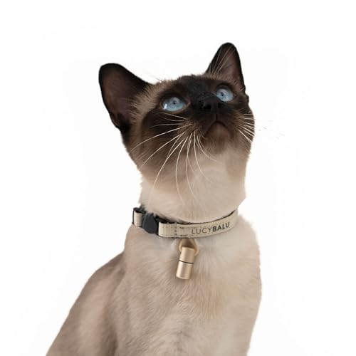 LucyBalu® Premium Katzenhalsband mit Namenskapsel | Reißfestes Halsband aus Nylon | Katzen-Halsband mit Sicherheitsverschluss | Kapsel-Anhänger für Kontaktdaten | Größenverstellbar | Sand LucyBalu® Premium Katzenhalsband mit Namenskapsel | Reißfestes Halsband aus Nylon | Katzen-Halsband mit Sicherheitsverschluss | Kapsel-Anhänger für Kontaktdaten | Größenverstellbar | Sand