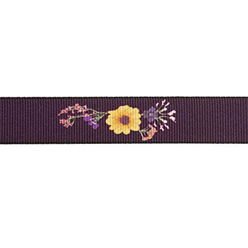 Thomas Bates Women's Hiker Pattern Web Belt2