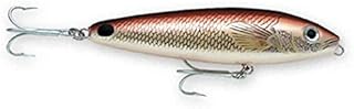 Rapala Saltwater Skitter Walk 11 Fishing lure, 4.375-Inch, Redfish