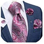 DiBanGu Silk Ties for Men Necktie and Lapel Pin Brooch Set