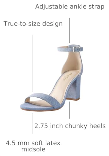 Image of Ankis Heels for Women Open Toe Ankle Strap Chunky Heel Sandals 2.75 Inch