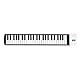 Namvo Tragbares Klavier-Keyboard, 49 Tasten, Rolling Piano, wiederaufladbares Keyboard-Piano mit Mikrofon, Kopfhöreranschluss