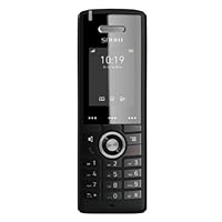 Snom M65 Professional DECT-Mobilteil (250 Stunden Standby, 2 Zoll 176 x 220 Pixel TFT, SW OTA-Upgrade, Vibrationsalarm, Gürtelclip, beleuchtete Tastatur), Schwarz, 00003969