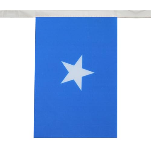 Image of AZ FLAG Somalia 6 meters BUNTING Flag 20 flags 9'' x 6'' - Somali STRING flags 15 x 21 cm