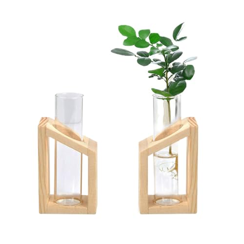 2 Piezas Jarrón de Tubo Vídrio, Jarrón Hidropónico, Estación De Propagación, Tubo de Ensayo Hidropónico, para Plantas Hidropónicas, Decorativo, con Marco de Madera