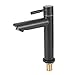 Produktbild Jacksking Wasserhahn, Haushalt Badezimmer Edelstahl Becken Wasserhahn Einzigen Kaltwasserhahn Außengewinde G1/2in Badewanne Wasserhahn (Schwarz)(G1 / 2-Zoll-Kaltwasserhahn mit Außengewinde)