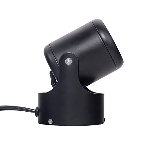 STGGTS X|bgCg RZg tbgXCb`t nCp[ 12W dF px߉ p  V W Be px߉\ Xe[WCg tAX^hƖ ubN