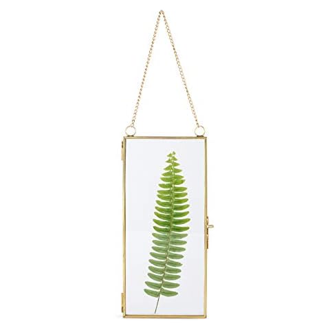 NCYP Small 4.1" x 9" Clear Glass Display Frame for Picture, Certificate, Photo, Card, Pressed Dried Flower - Wall Hanging Plant Specimen Clip - Modern Home Vertical Decor, Floating Gold (Frame Only) Cover