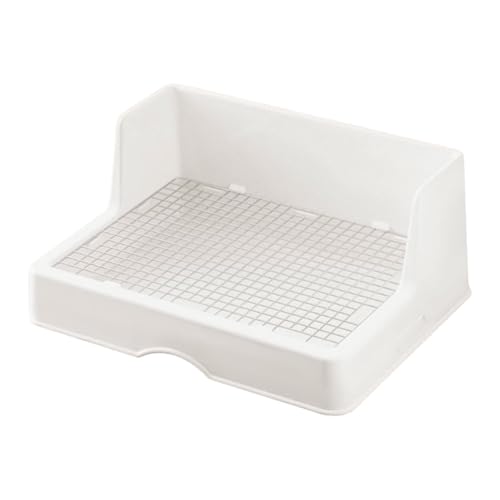 Fzaqwen ObhtybgpgC{bNX ybgpP[WANZT[ gCpQ{bNX nlY~ K[f bg ETM tFbgp, X[Obh 12mm