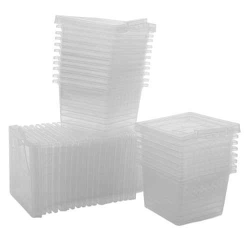 100�� �������甠 �g�J�Q �����̃J���̈͂� ঒��ގ��甠 �ېH ��