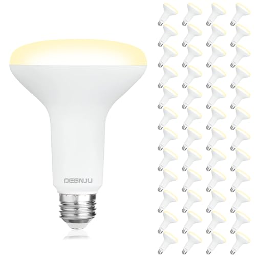 Image of DEGNJU 48 Pack Indoor Flood Light Bulbs, BR30 LED Bulb 7W Equivalent 65W, Dimmable Recessed Light Bulbs, 650LM 2700K Soft White 15000 Lifetime LED Can Light Bulb, Interior Home E26 Base