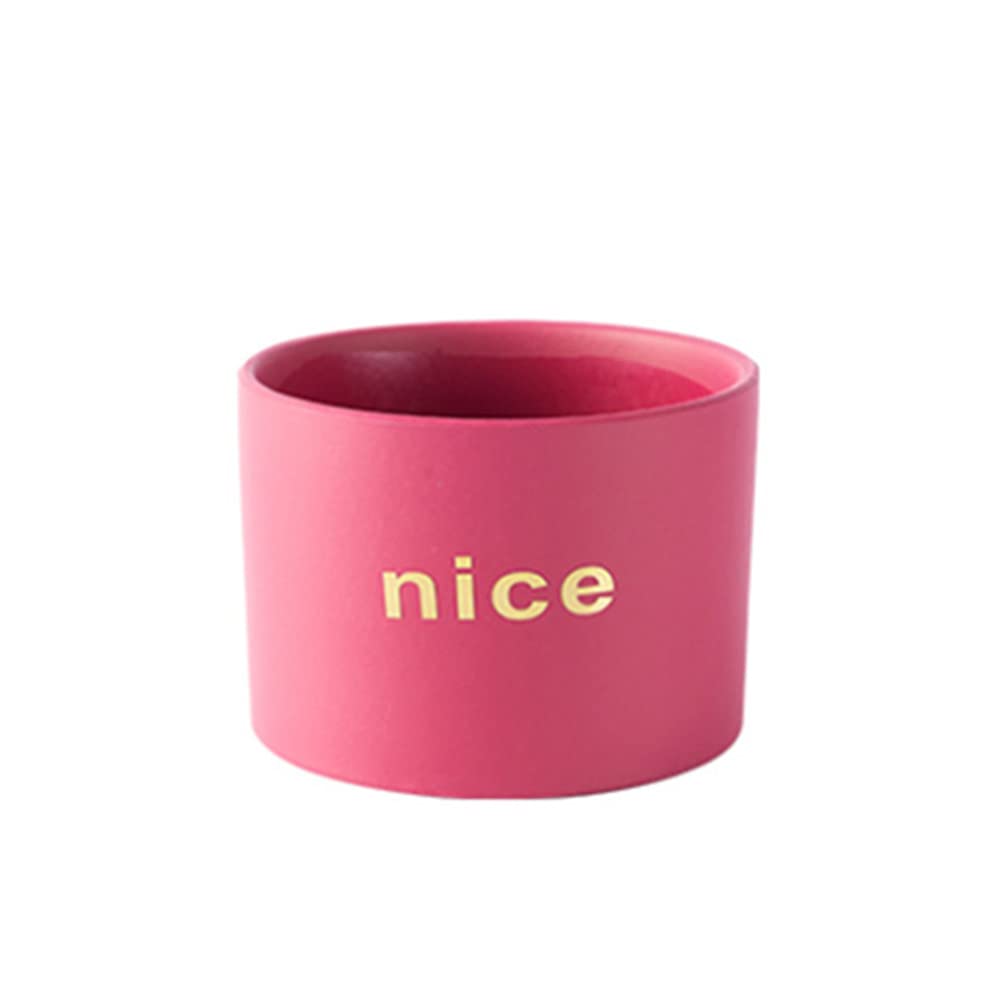 NTPHNB Creative Simplicity Ceramic Cactus Succulent Planter Pot Container Small (T)