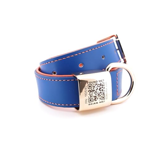 pets petsmart dog collar