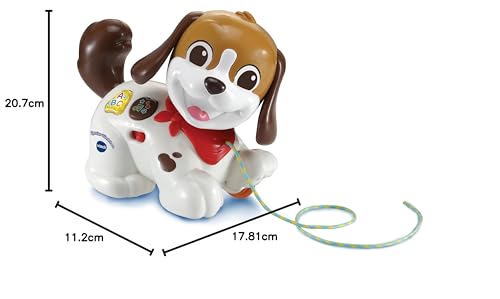 VTech Baby Spazier-Hündchen – Interaktiver Spielzeughund mit Musik und Schnur zum Hinterherziehen – Für Kinder von 12-36 Monaten