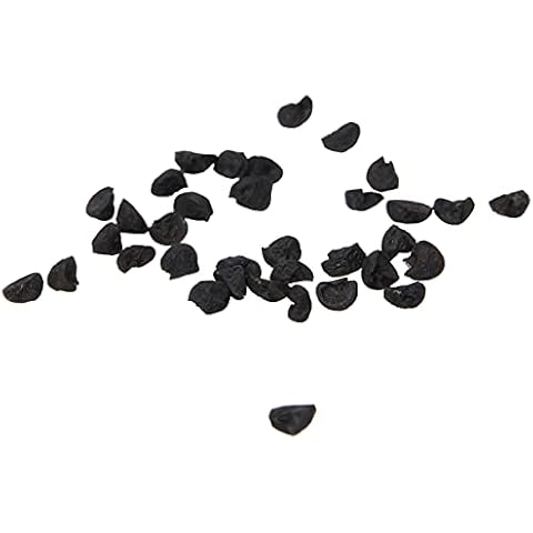 Premier Seeds Direct Italian Purple Spring Onion Lilia Cover