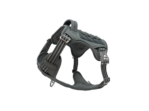 Hicost ^NeBJpn[lXAg[jOpˌpEH[LOn[lXAnht߉\ȌpxXgn[lX(O[AL)