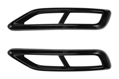 排気口 排気管 パーツ 用 ティグアン L 2022 車用排気チップ テールパイプ リアバンパー マフラーカバー トリムステッカー 交換用 2個