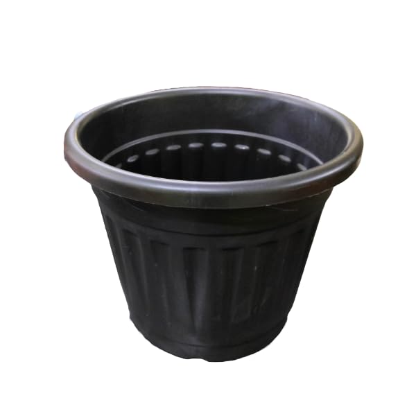 See full amazon price history chart for Ashokavanam Premium 12-Inch Injection Molded Plant Pots – Durable and Stylish Containers for Lush Indoor and Outdoor Gardens (5, Black) Ashokavanam Premium 12-Inch Injection Molded Plant Pots – Durable and Stylish Containers for Lush Indoor and Outdoor Gardens (5, Black) (B0DBVTG34D) Amazon Price History, Amazon Price Tracker