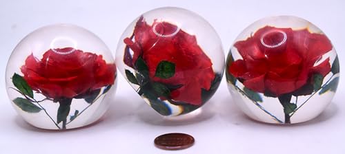 Image of 60mm Real Red Rose in Crystal Clear Lucite Resin Ball June Birth Month Flower Anniversary Wedding Engagement Valentine Mother's Day Gift Botanist Herb Herbarium Paperweight Display Decor Collection