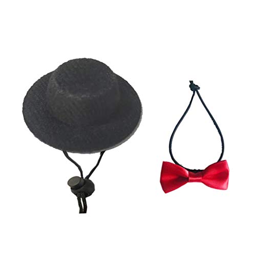 �������[�v�n�b�g�|�l�N�C�\�t�g���U�[�Ђ��h���S���n�[�l�X���[�V���n���E�B�[���R�X�`���[���ߕ��������[�v�X�q�l�N�^�C