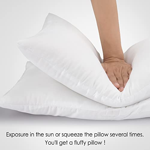 Fixwal 12X20 Inches Throw Pillow Inserts Set Of 2, Indoor Decorative Throw Pillow Inserts, Lumbar Hypoallergenic Rectangle Pillow Form For Bed, Couch And Living Room #TOP4