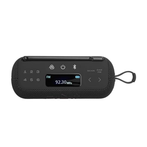 JBL Tuner 3 Tragbares DAB/DAB+/UKW Bluetooth Radio mit 6 Sendern, Bis zu 15 Std Wiedergabe, IP68 Wasser- und staubdicht, Auracast Multi-Cast-Verbindung, Kompatibel mit JBL Portable App, Schwarz