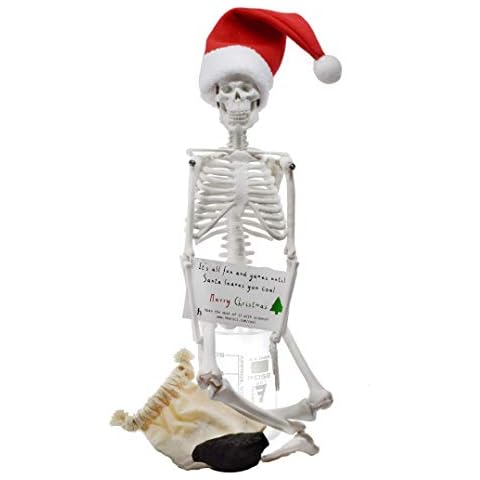 hBARSCI Dead Elf in The Lab - 17" Miniature Skeleton, Santa Hat & Christmas Coal Cover