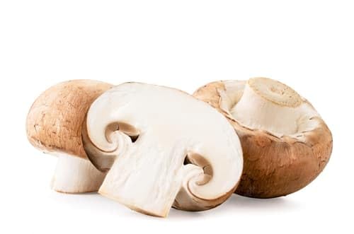 Champignons Braun XXL-Schale (0.4 kg)