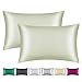 Smbeope 100% Mulberry Silk Pillowcase 2 Pack for Hair and Skin,with Hidden Zipper,Both Sides 22 Momme Natural Silk Pillow Cover,Soft Breathable & Smooth (Matcha, Standard)