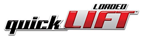 Image of Rancho QuickLIFT RS999914 Suspension Strut and Coil Spring Assembly