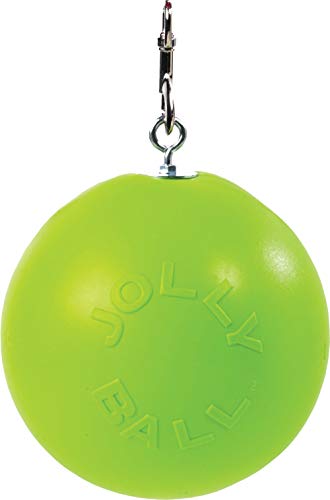 Horsemen'S Pride SS203 Combo Horse Stall Toy: Apple Scented Jolly Ball And Apple Flavored Snack Holder  thumb #1
