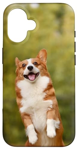 �ʔ����R�[�M�[ �X�}�z�P�[�X iPhone 16 �p
