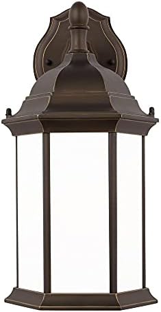 SEA GULL 8938751EN3-71 Medium One Light Downlight Outdoor Wall