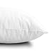 EDOW Throw Pillow Inserts, Set of 2 Lightweight Down Alternative Polyester Pillow, Couch Cushion, Sham Stuffer, Machine Washable. (White, 16x16)