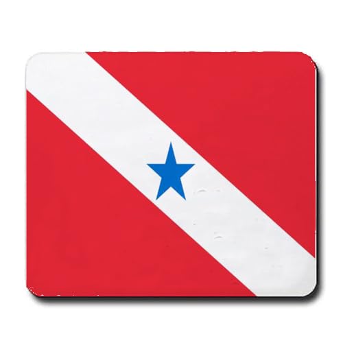 FaceYee Tapis de souris drapeau national des Philippines, tapis de souris, décorations de célébration, cadeaux pour amoureux des Philippines, 24,1 x 20,3 cm, couleur : drapeau national des Philippines