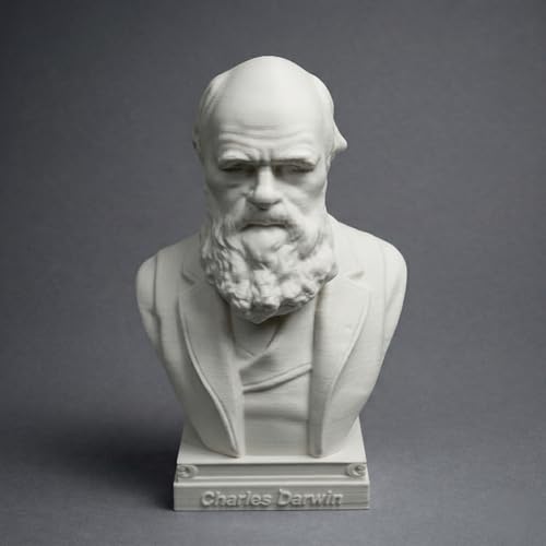 Busto Charles Darwin Estatua Decorativa 6 x 4 x 3 in