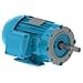 Weg Electric Motors WEG Close-Coupled Pump Motor-Type JP, 01536ET3E254JP-W22, 15 HP, 3600 RPM, 208-230/460 V, TEFC, 3PH
