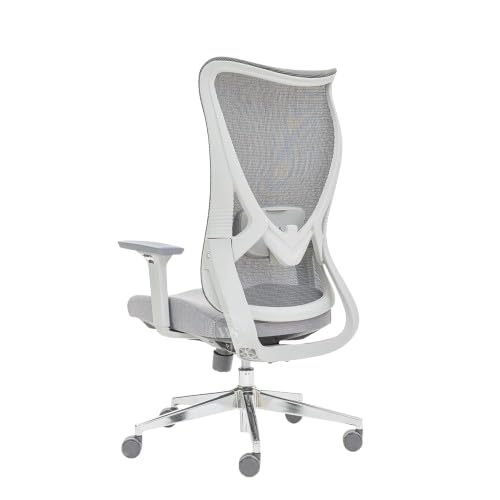 Image of Wooden Street Rowen Mesh Fabric Ergonomic High Back Office Chair | 2 Year Warranty | Breathable Mesh Upholstery, Moulded Foam Cushion Seat, Adjustable Reclining & Seat Sliding Metal Wheelbase (Grey)