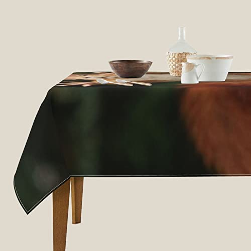 Nappe écureuil carrée protégeant et décorant votre table de salle à manger