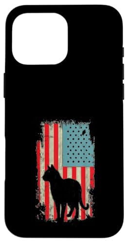 �A�����J���� �L �L �y�b�g �L�e�B �q�L �A�����J �X�}�z�P�[�X iPhone 16 Pro Max �p