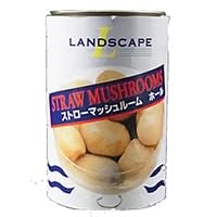 O ӂz[(Xg[}bV[) 4×1 퉷(Pi) (VandroStEINDEXBOX)