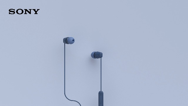 Amazon.com: Sony IER-EX15C USB-C Plug, Wired in-Ear Headphones for