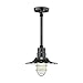 Millennium RRWS12-SB One Light Pendant, Black