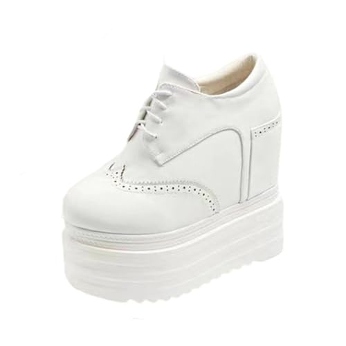 [XICREX] fB[X V[gu[c Cq[  nCq[ ANu[c C tH~p ҂ݏグ [XAbv JWA h h h zCg/13cm r 24.5 cm EFbW\[ 14cm