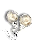 925 Sterling Silber MadamLili - Echte Pusteblumen Ohrringe - 925 Sterling Silber - Löwenzahn Samen Ohrhänger Naturschmuck - Hängend - Verschluss mit Ohrstopper - Handgefertigt - Exklusive Schmuckbox